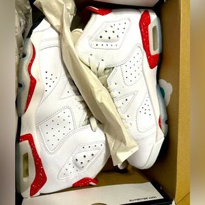 Retro Air Jordan 6